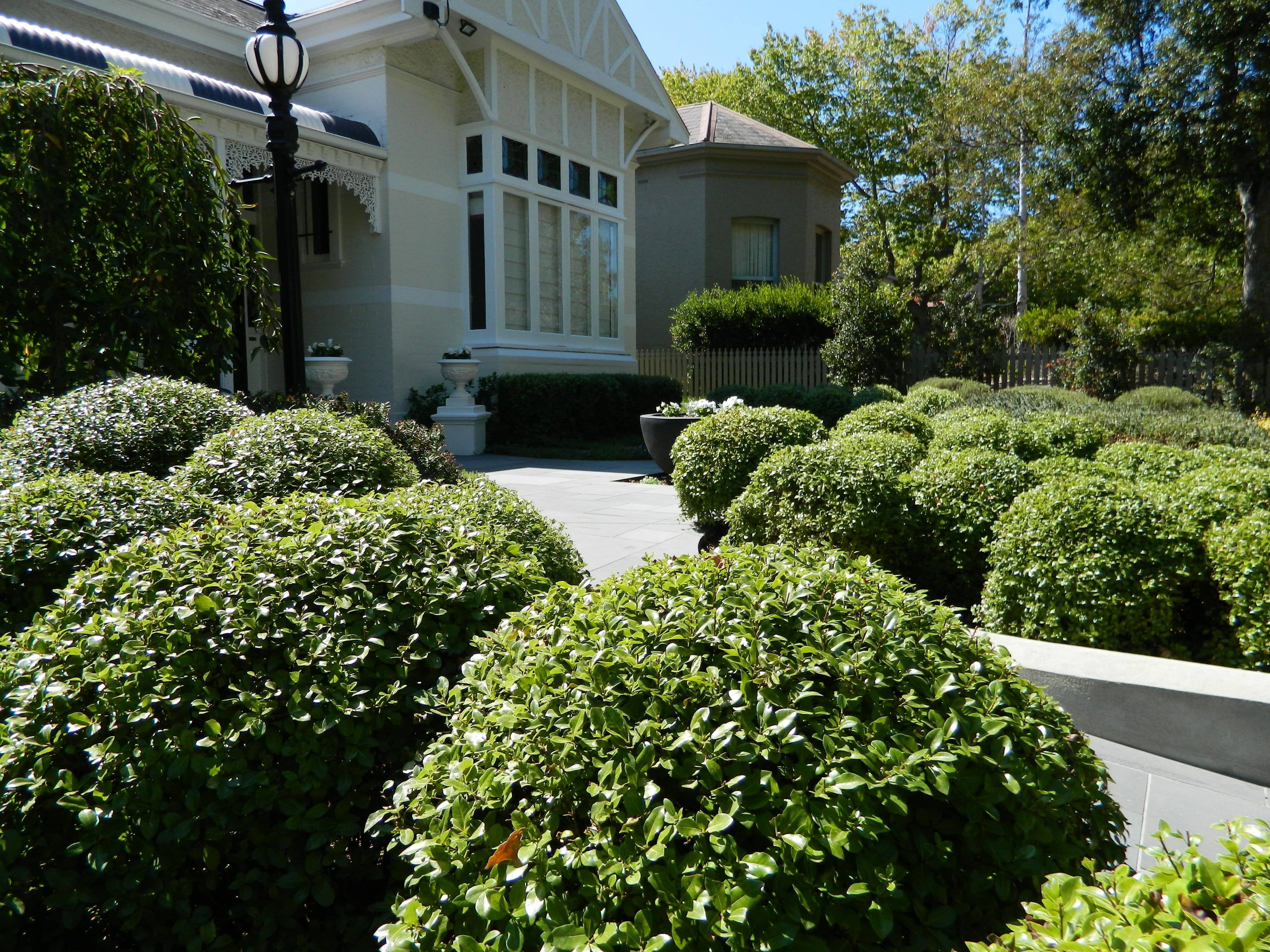 Formal garden design with lots of street appeal