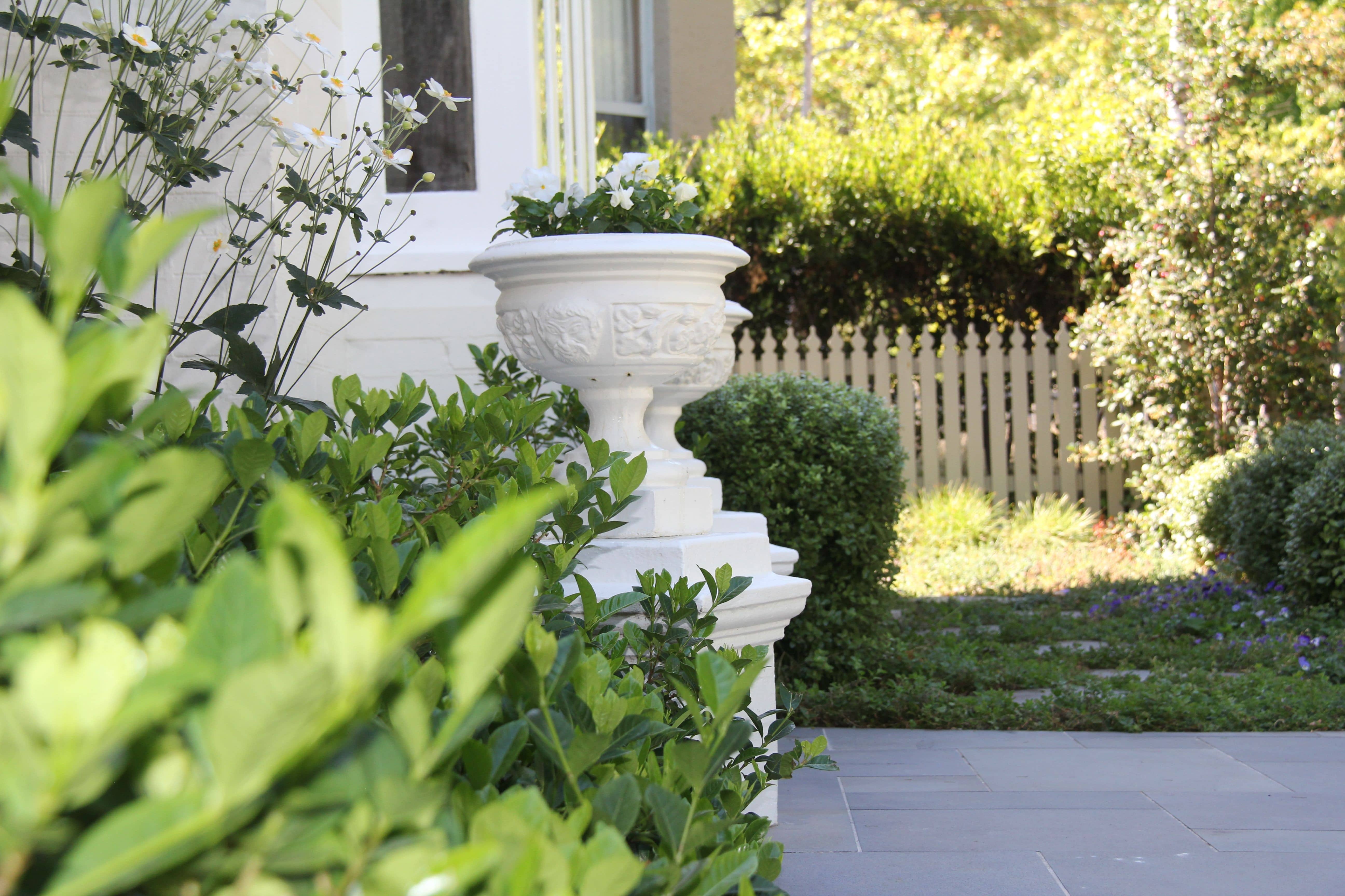 Classic white planters give this formal garden design that something extra