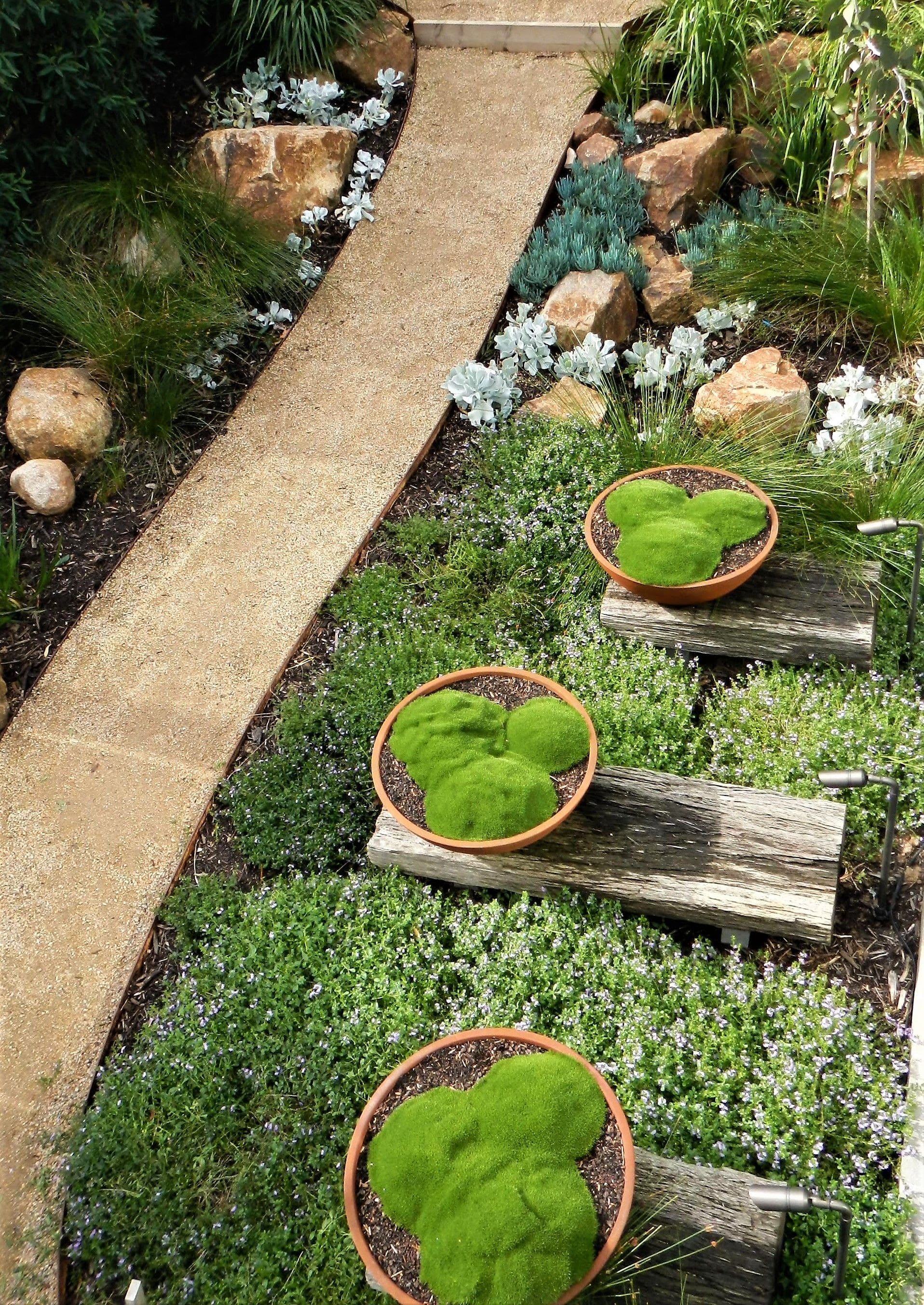 the use of bowls and coastal native plantings, rust and rocks make this coastal landscape design modern